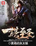 出棋至圣小游戏