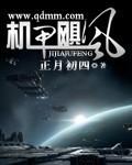 机甲飓风 全文 正月初四