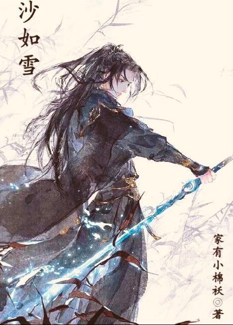 沙如雪对仗