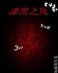 漆黑之翼是什么