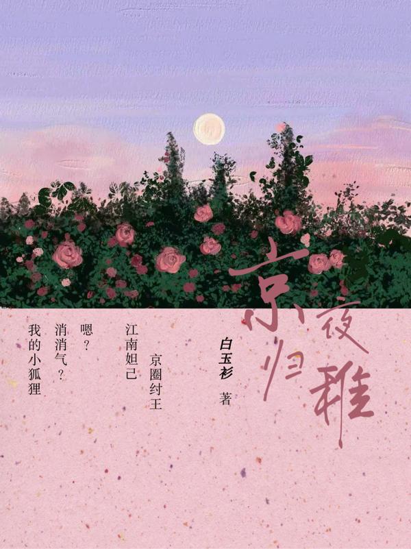 京夜归稚46章内容与背景介绍