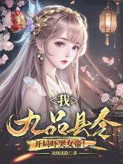 电视连续剧九品县令