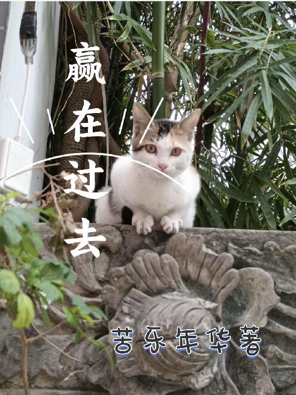 赢在什么什么作文记叙文