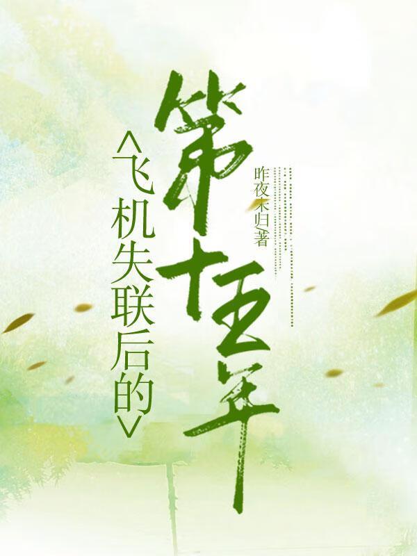 飞机失联后的第十五年类似的文