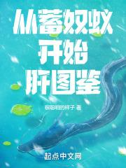 从蓄奴蚁开始肝图鉴无弹窗笔趣阁