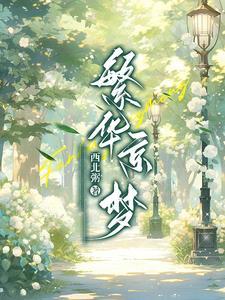 繁华梦免费阅读