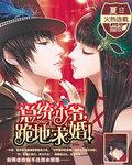总统追妻