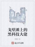 戈壁滩上的黑科技大佬 第4章