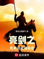 亮剑中的武器装备介绍
