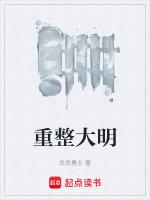 重整大明苏航的