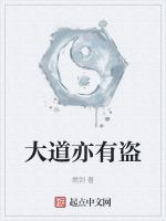 大道亦有盗电视剧