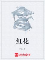 红花注射功效说明书