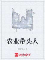 农业带头人邓述东简历