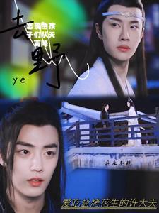 忘羡的孩子们从天而降19