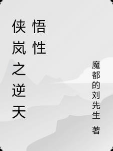 侠岚之穿越