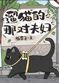 遛猫的那对夫妇txt百度