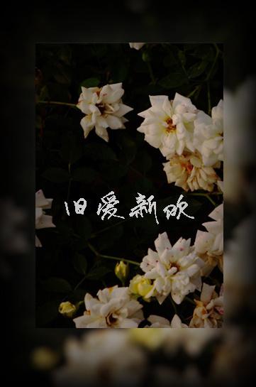 旧爱新欢云檀TXT