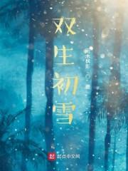 双生初雪 雨木枫影