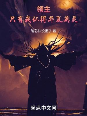 领主只有我认得华夏英灵