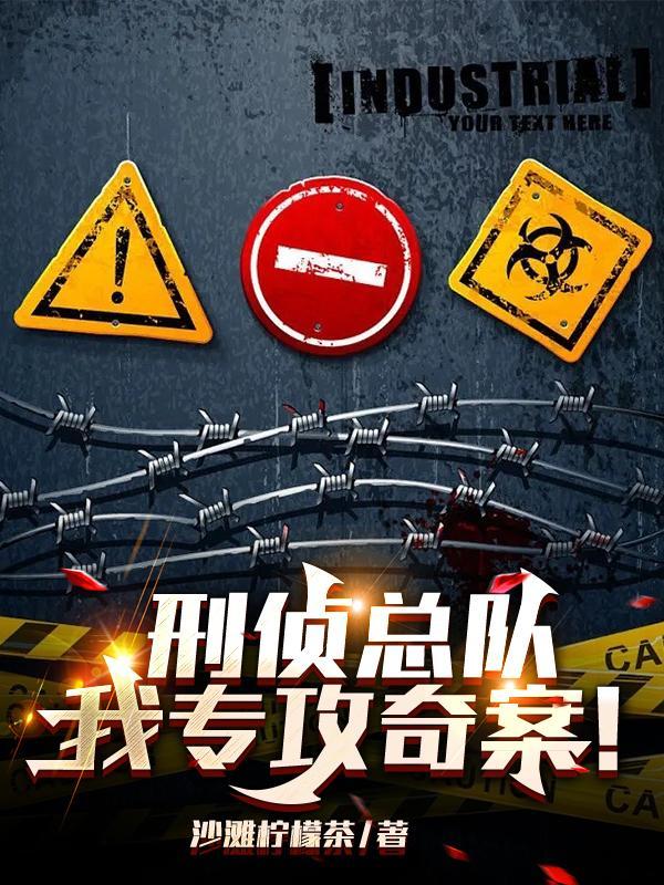 刑侦总队队长是什么警衔