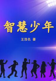智慧少年的意思