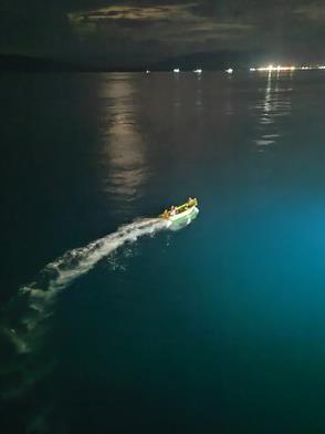 我的航海梦读后感