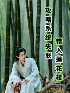 攻略系统txt链接