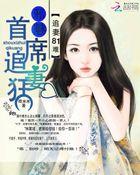 邪魅总裁追娇妻 夜晓淡