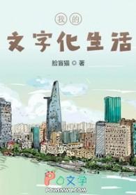 关于文字文化的作文