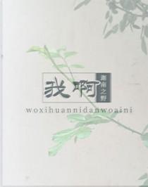 你啊有家难回是什么歌