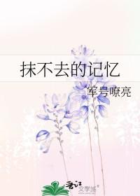 抹不去的回忆歌谱完整版