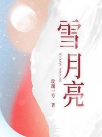 雪月亮几点开始