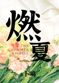 燃夏讲的是什么