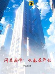 问鼎巅峰从基层开始小王总
