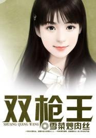 双枪王电视剧
