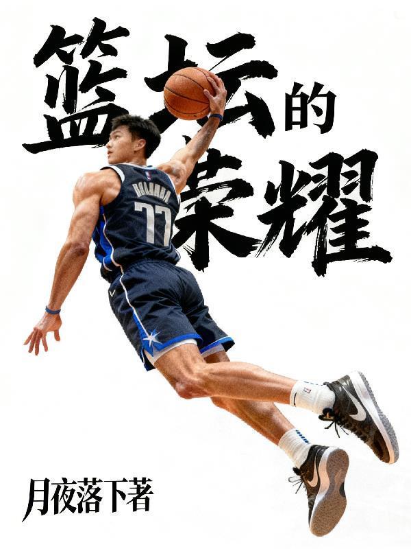 篮坛荣耀 苍云白鹭