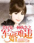 盛世军婚军长送上门
