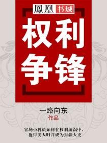 权利争锋秦涛348