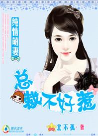 总裁的冷妻不好惹惹