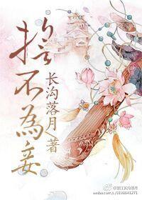 誓不为妾无弹窗