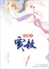 红楼之贾赦孝死