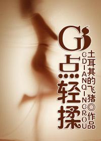 轻揉慢捻抹复挑歌词