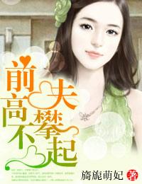 前夫高攀不起全集观看