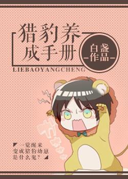 猎豹怎么玩
