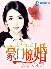 独占之豪门惊婚讲的是