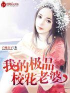 我的极品校花老婆白袍公子
