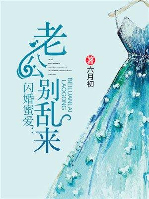 闪婚蜜爱:老公别乱来