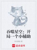 吞噬星空:开局一个小辅助